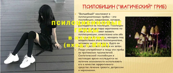 PSILOCYBIN Армянск