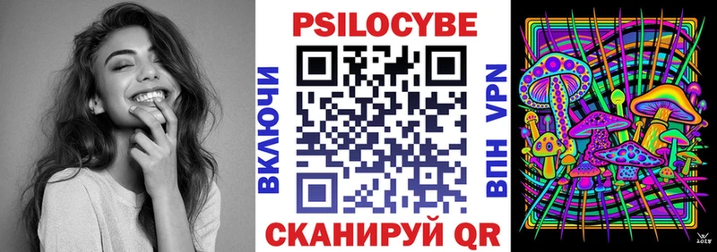 где можно купить   Олонец  Псилоцибиновые грибы прущие грибы 