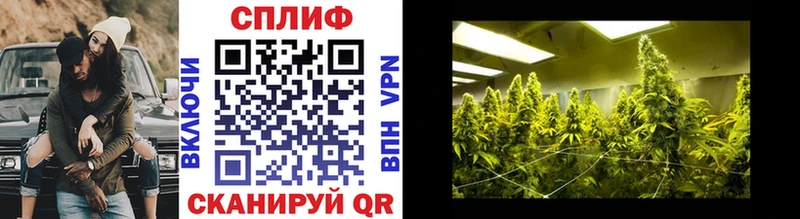 ОМГ ОМГ сайт  Олонец  Каннабис Bruce Banner  цены наркотик 